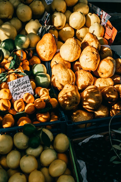 From above assorted ripe fruits displayed on stall in street market on sunny day