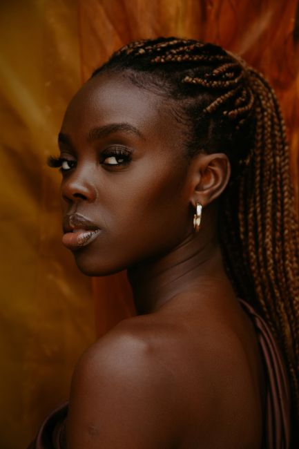 Elegant portrait of an African American woman with braids, showcasing beauty and style.