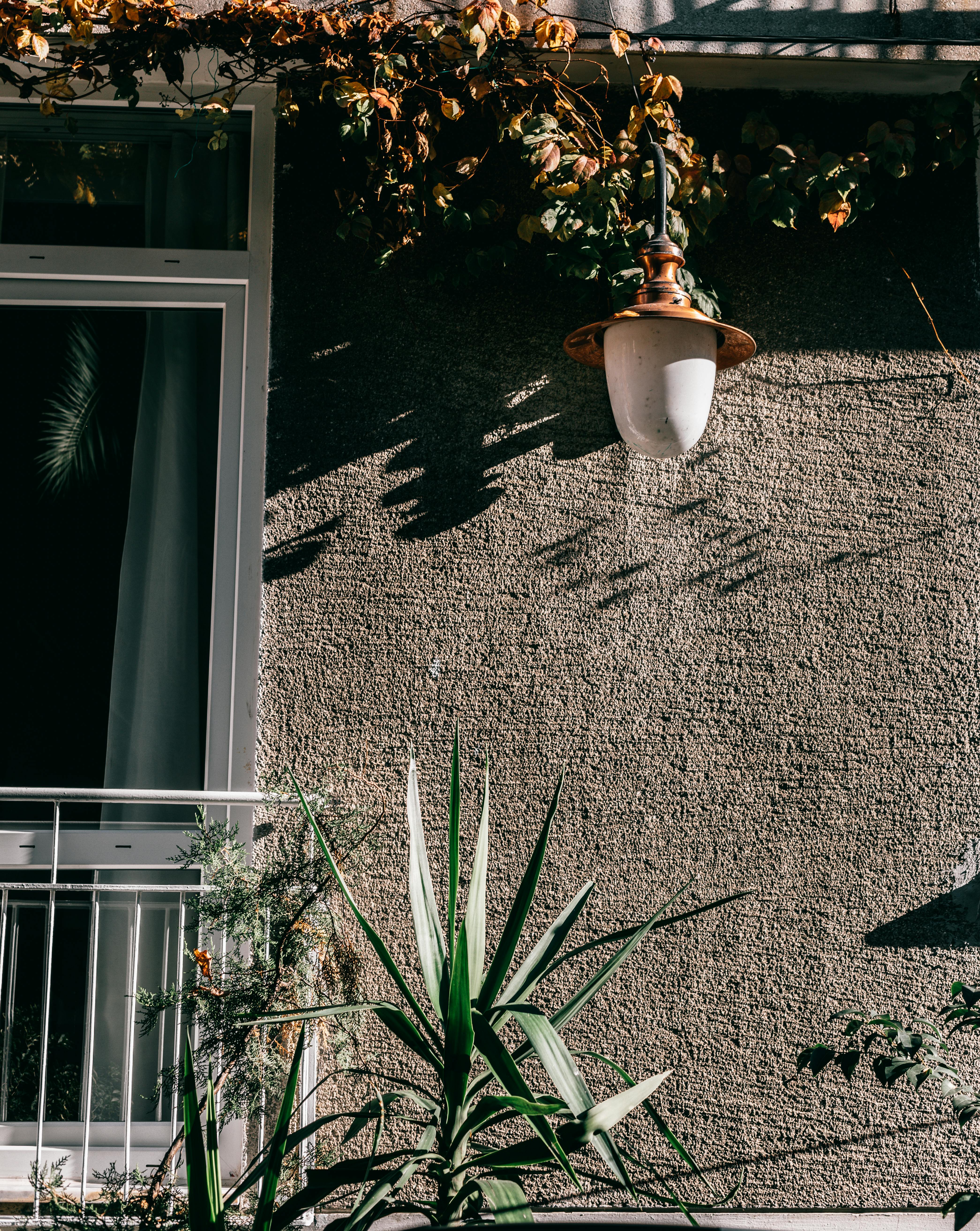 Gartenmauer mit Pflanzen