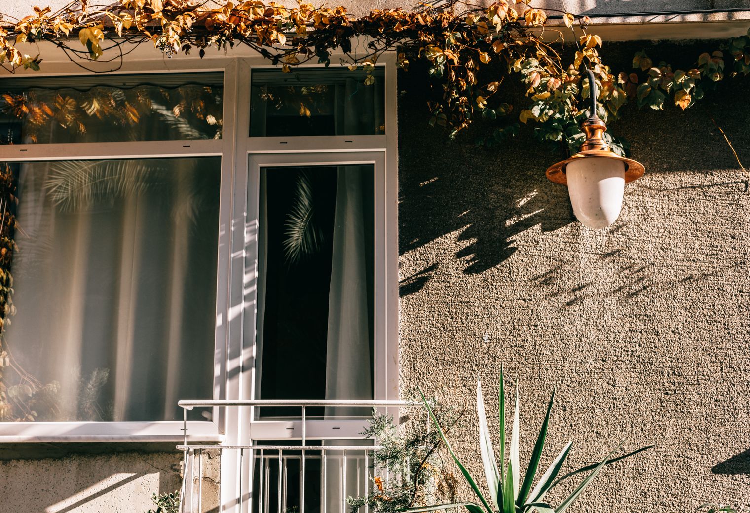 Exterior Painting in Muswell Hill — surfaces prepped and cut in by hand