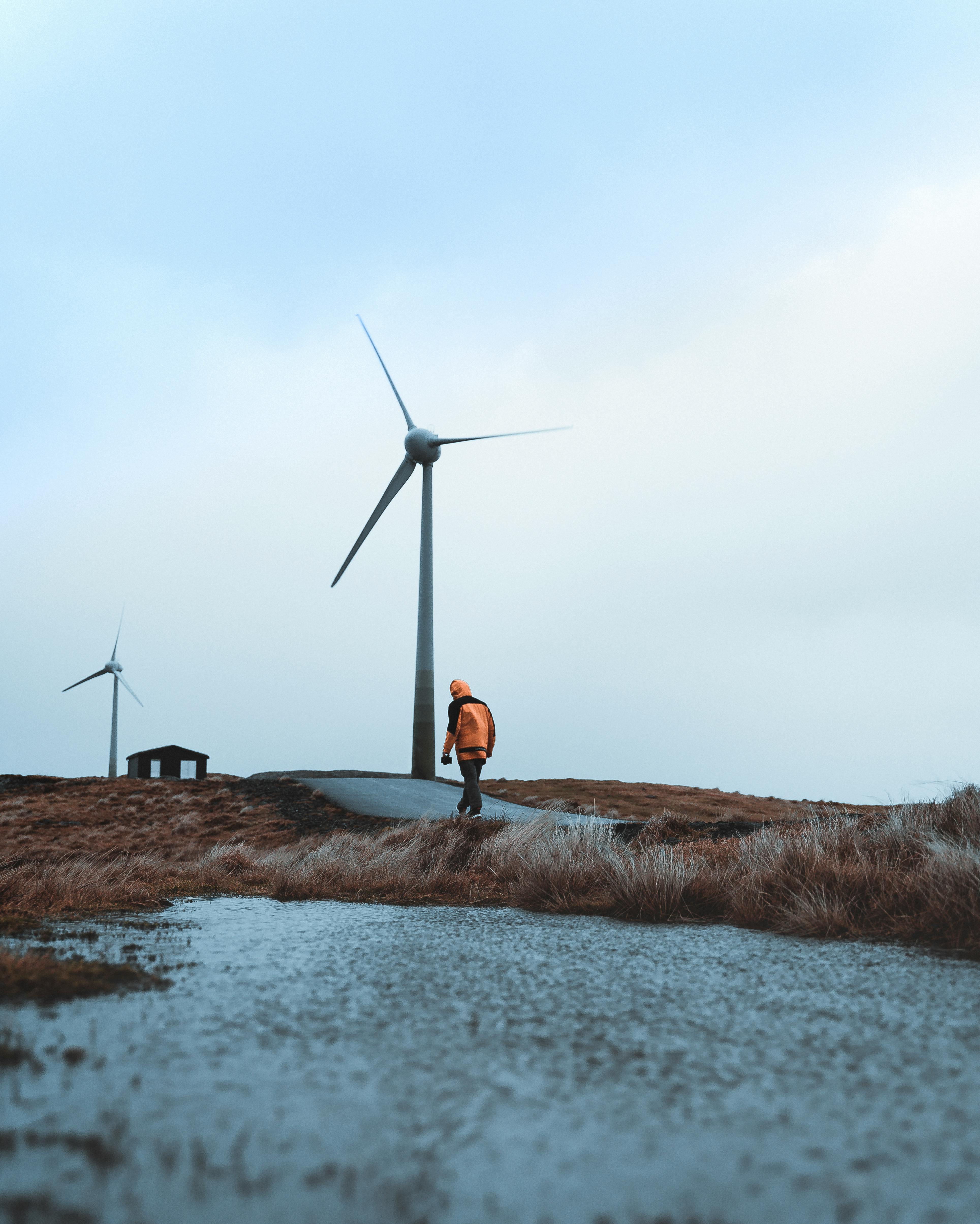 Back view of anonymous person walking near windmills on rural road and admiring picturesque scenery