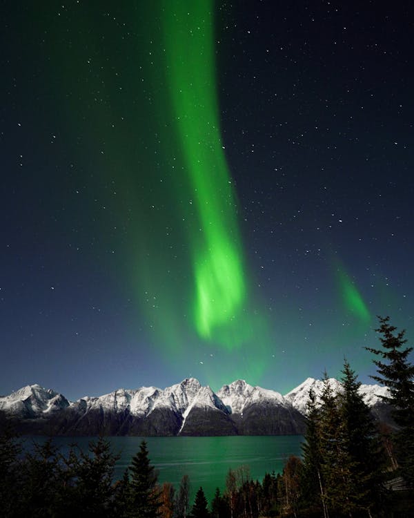 Picturesque scenery of mountain range with green forest under sky with polar lights and stars in winter