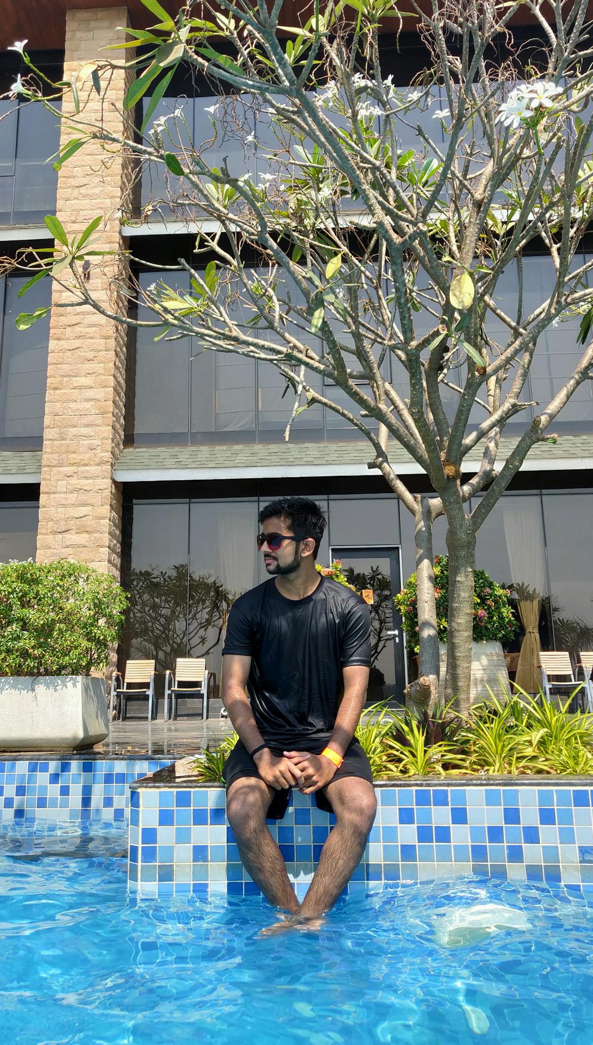 Why Carpenter Ants Destroy Rockland County Homes Silently