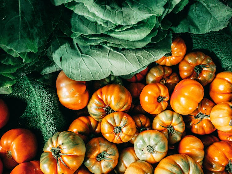 Fresh Cabbage And Tomatoes Heaped Together