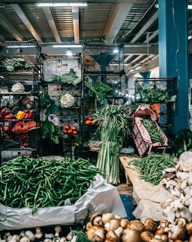 Indoor Vegetable Gardening Tips: Create a Fun Family Hobby That’s Healthy and Sustainable!