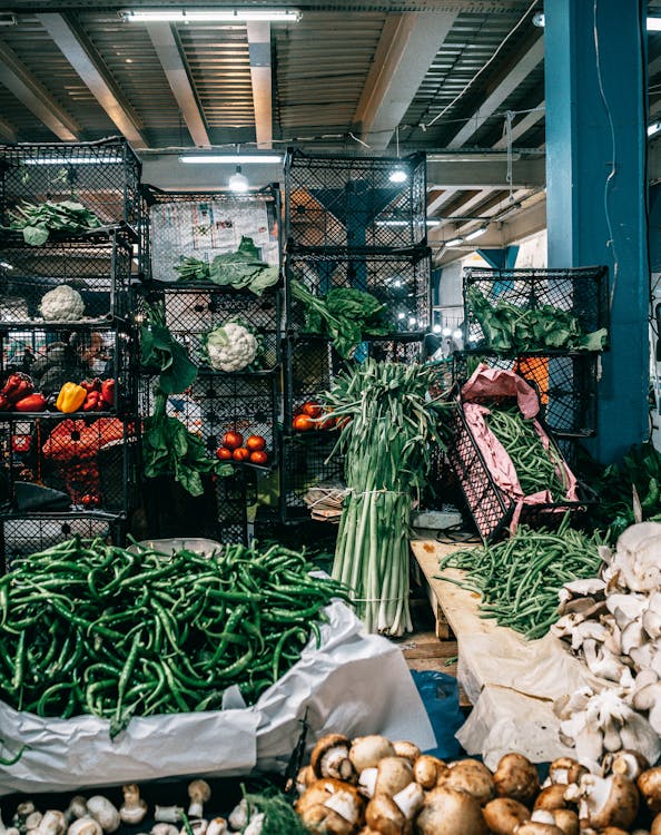 Free Assorted vegetables kept in boxes in market warehouse Stock Photo