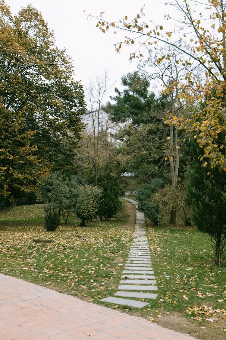 Stone Pathway Through Lush Trees In Autumn Park