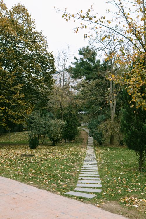 Stone pathway through lush trees in autumn park · Free Stock Photo