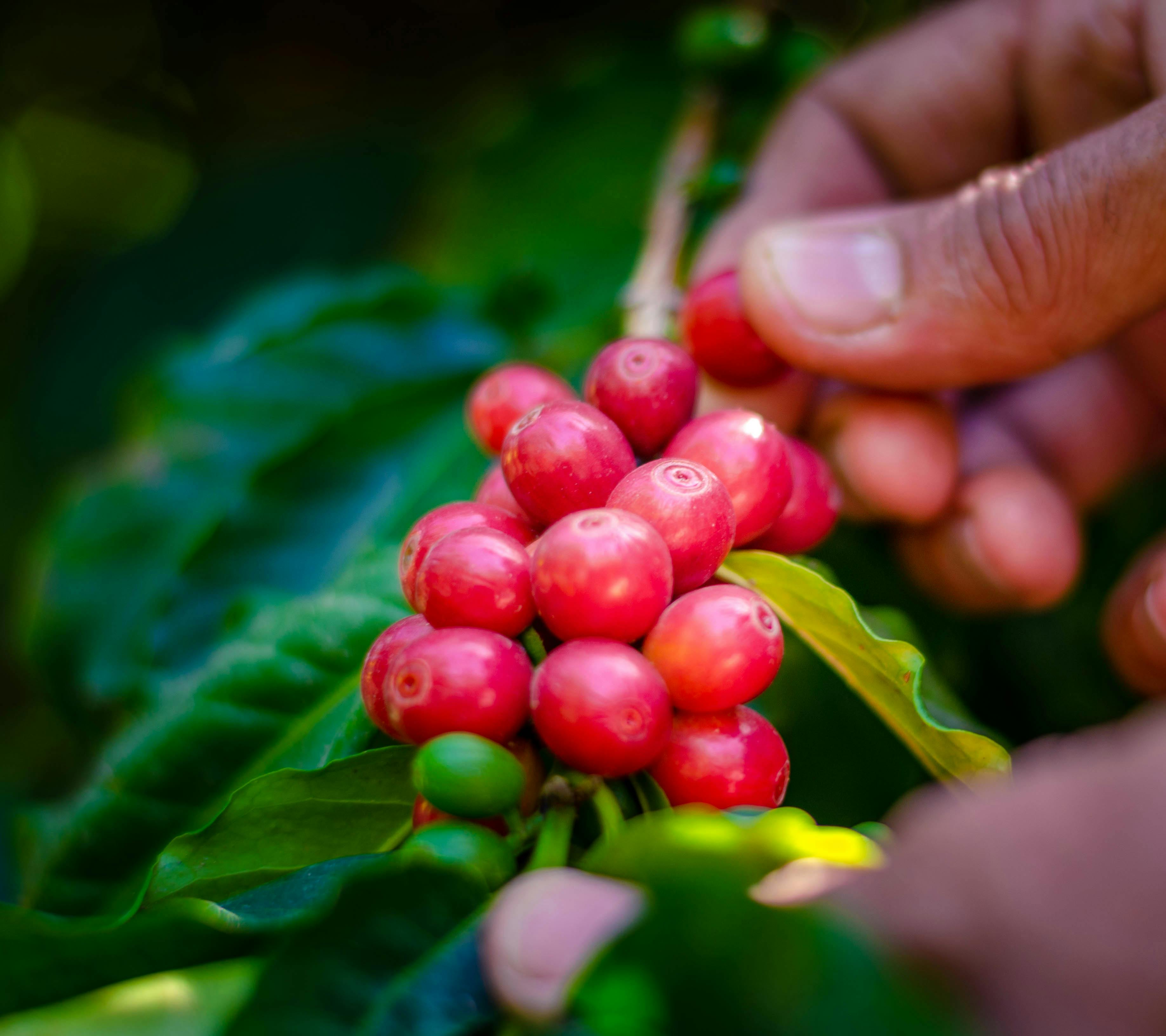 Hands Holding Wallpaper Photos, Download The BEST Free Hands Holding