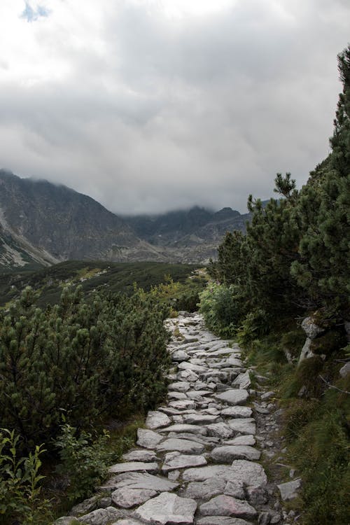 Ücretsiz dağlar, dikey atış, doğa içeren Ücretsiz stok fotoğraf Stok Fotoğraflar