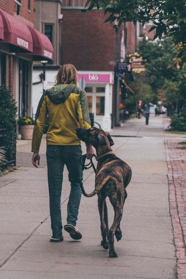 A Man Walking In The Street With His Dog