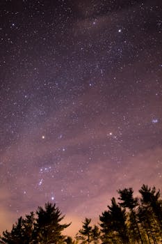 Beautiful view of the Orion constellation in a starry night sky, silhouetted by dark trees.
