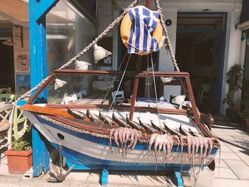 Free stock photo of fish, greece, island