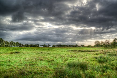 Green Grass Field Under Cloud Formation