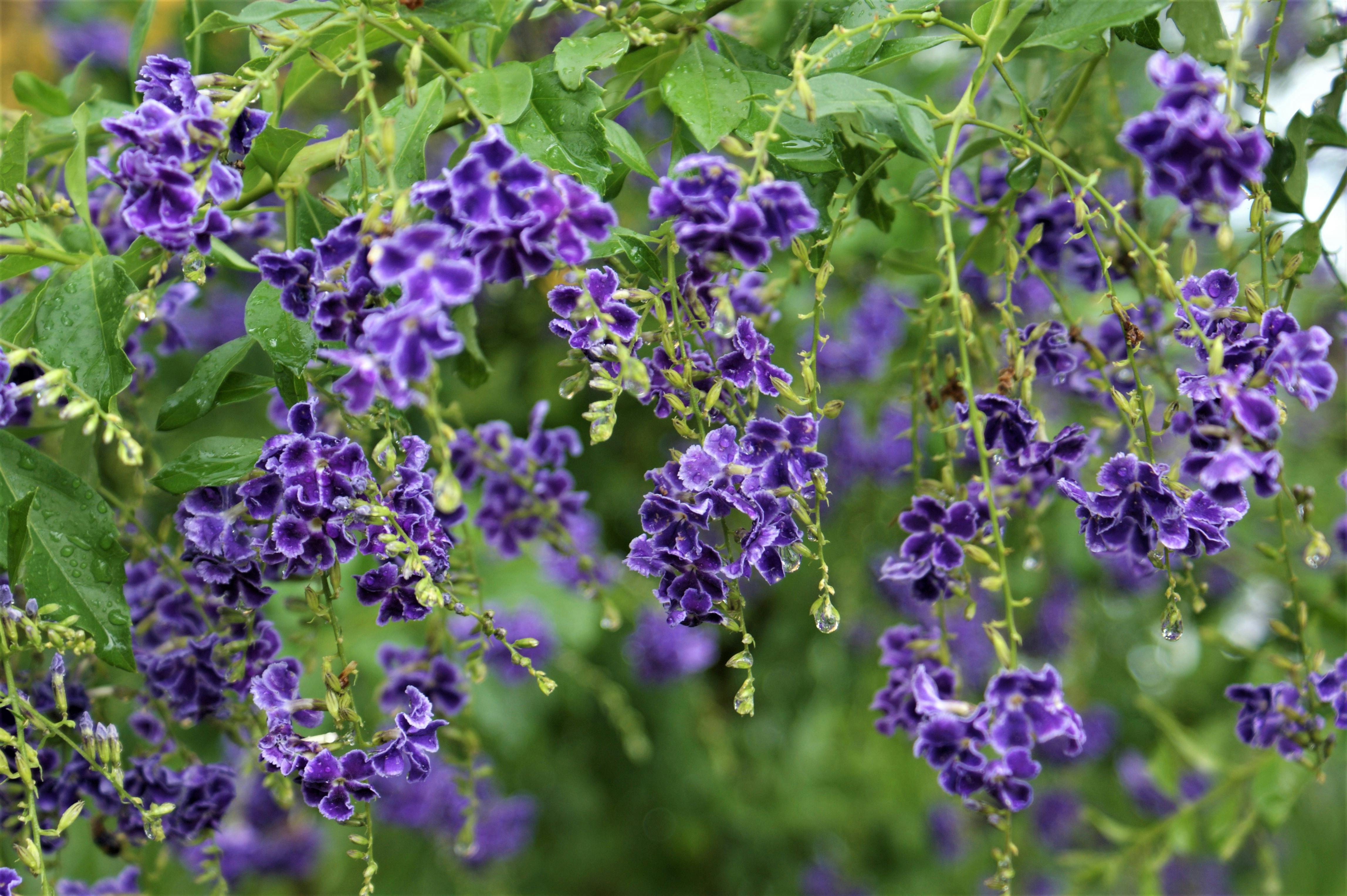 Advanced genomic research