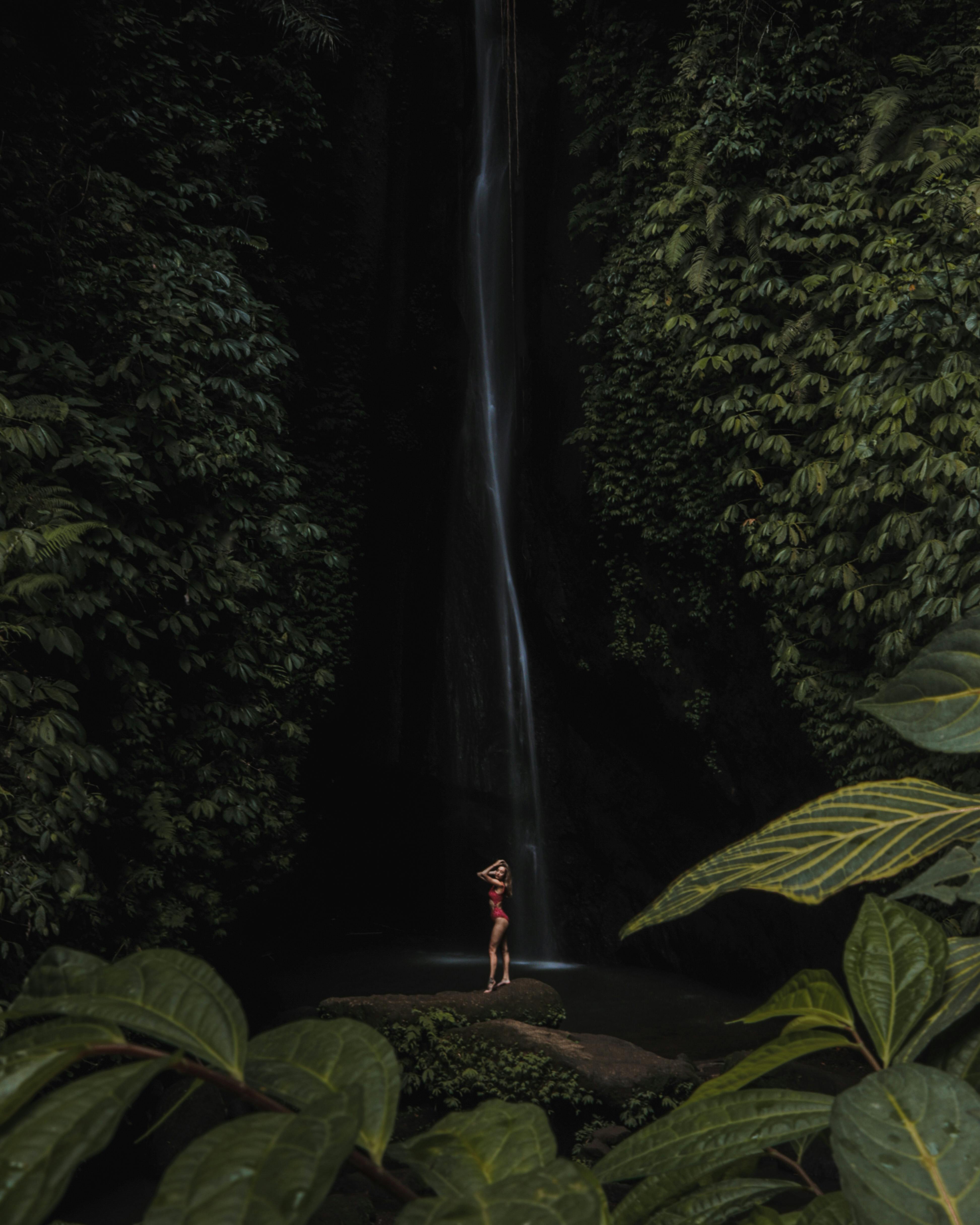 gratis Persoon In Rode Jas Staande Op Bruin Houten Traject Tussen Groene Planten Stockfoto