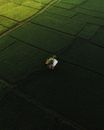 Small single construction among green fields