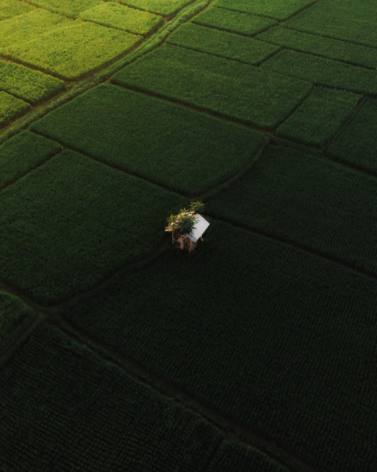 Small Single Construction Among Green Fields