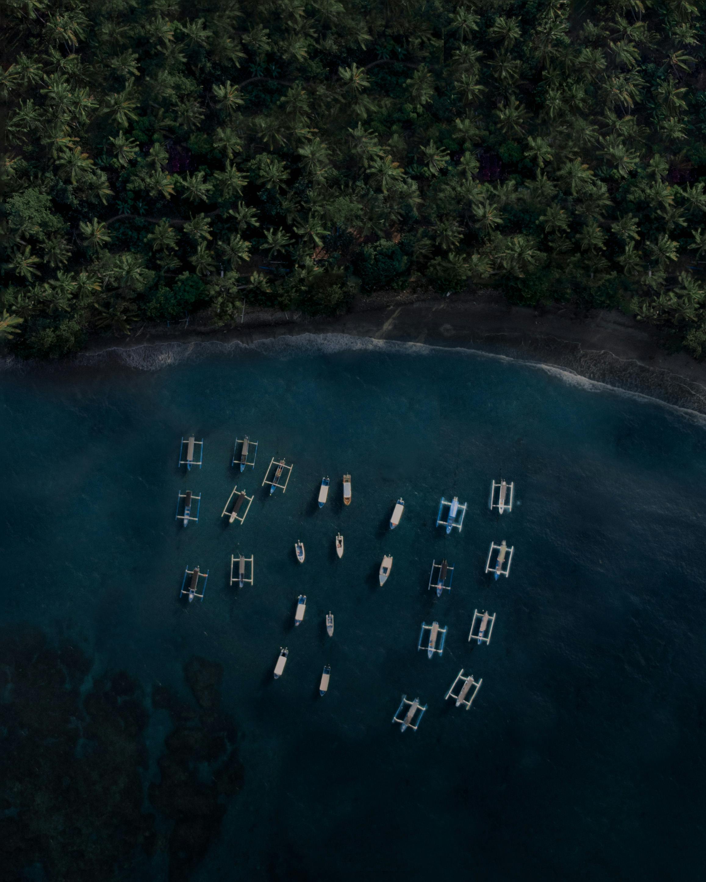 Serene aerial view of fishing boats docked near a lush green coastline.
