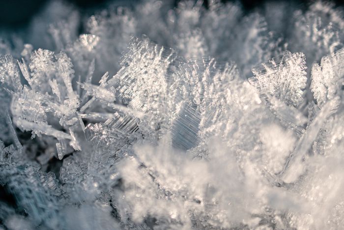 Frost crystals along the edge of a leaf — photo by Choice on Pexels