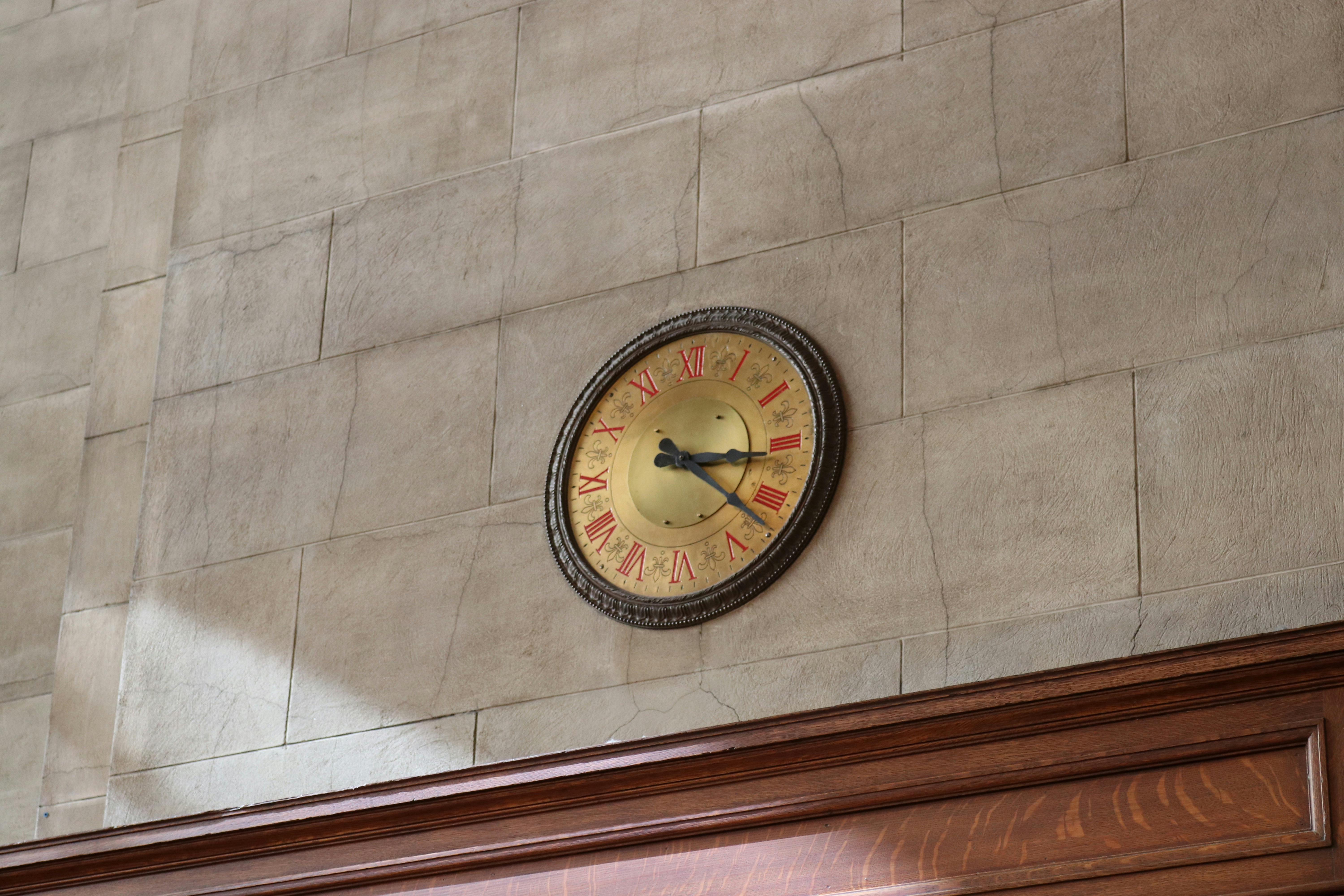 Eine Herde Kamele wandert friedlich durch die goldene Wüste Dubais, typisch für eine Camel Farm Dubai Erfahrung.