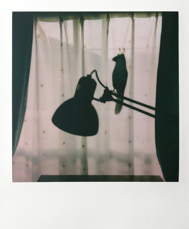 Free Polaroid Photo of a Lamp Stock Photo