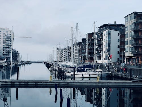 Sailboats Docked on the Port