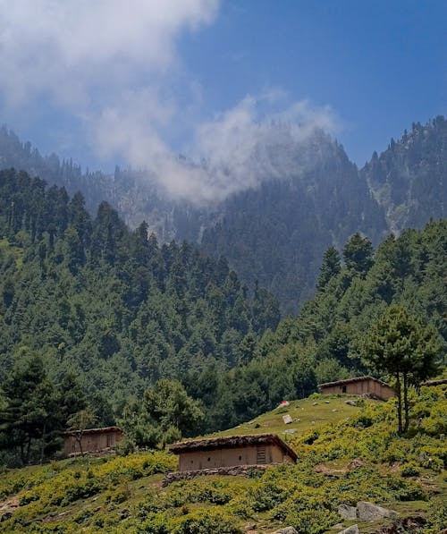 Fotobanka s bezplatnými fotkami na tému fotografia prírody, hora, kašmír