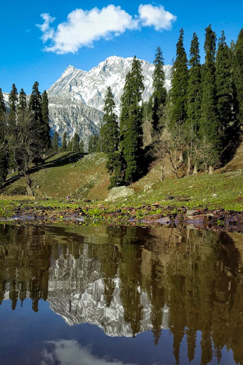 Základová fotografie zdarma na téma hory, jezero, stromy