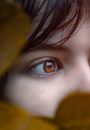 Close Up Photo of Persons Eye