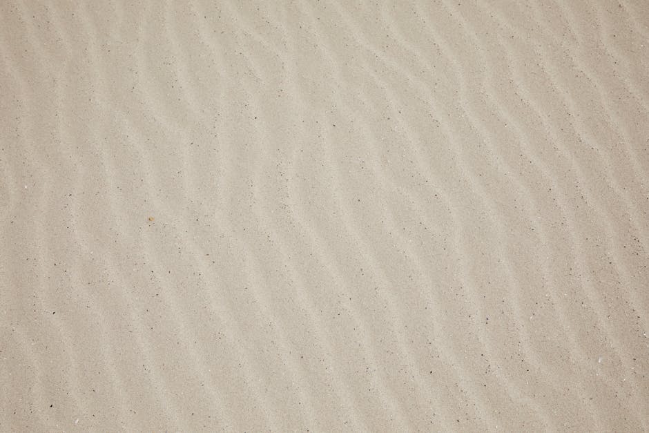 Top view of empty dry plain surface of beach covered with sand in daytime