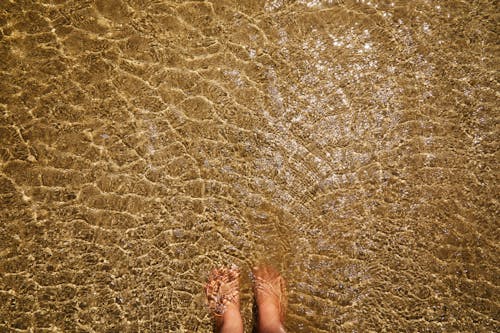 Free Top view of crop anonymous barefoot female standing in pure transparent rippling water of sea with sandy bottom Stock Photo