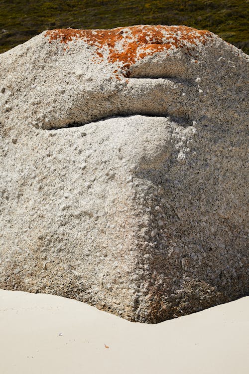 Коричневый песок с коричневой почвой