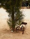 From above of broken old rusty barrow with wheel placed near green coniferous tree