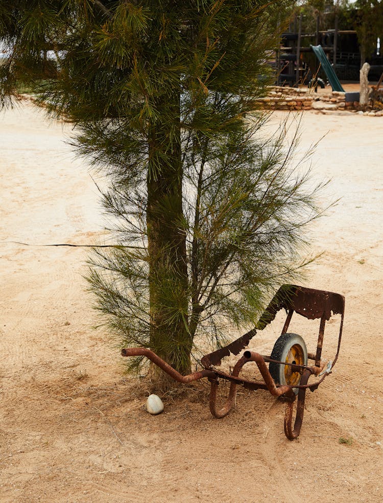 Broken Rusty Wheelbarrow Near Tree