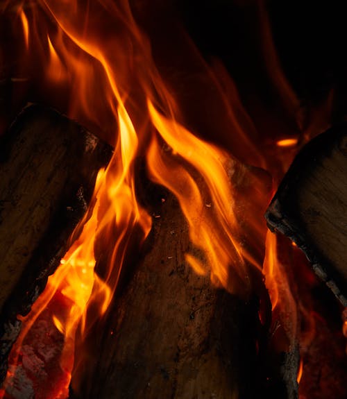 免費 在火坑上燃燒木頭 圖庫相片