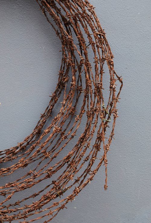 Top view of wreath wickered of thin vines placed on white surface in studio