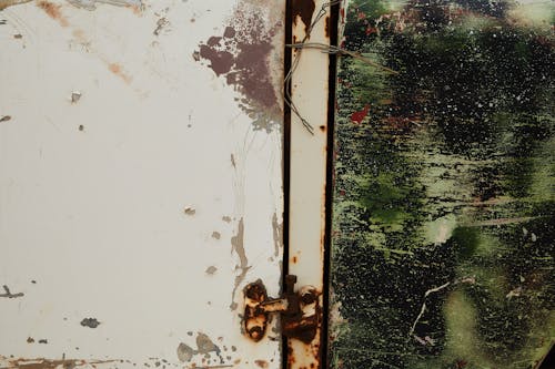 Free Old shabby metal door with rusty hinge near green wall Stock Photo