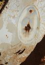 Abstract background of damaged metal construction with cracks and various stains with rusty parts around holes