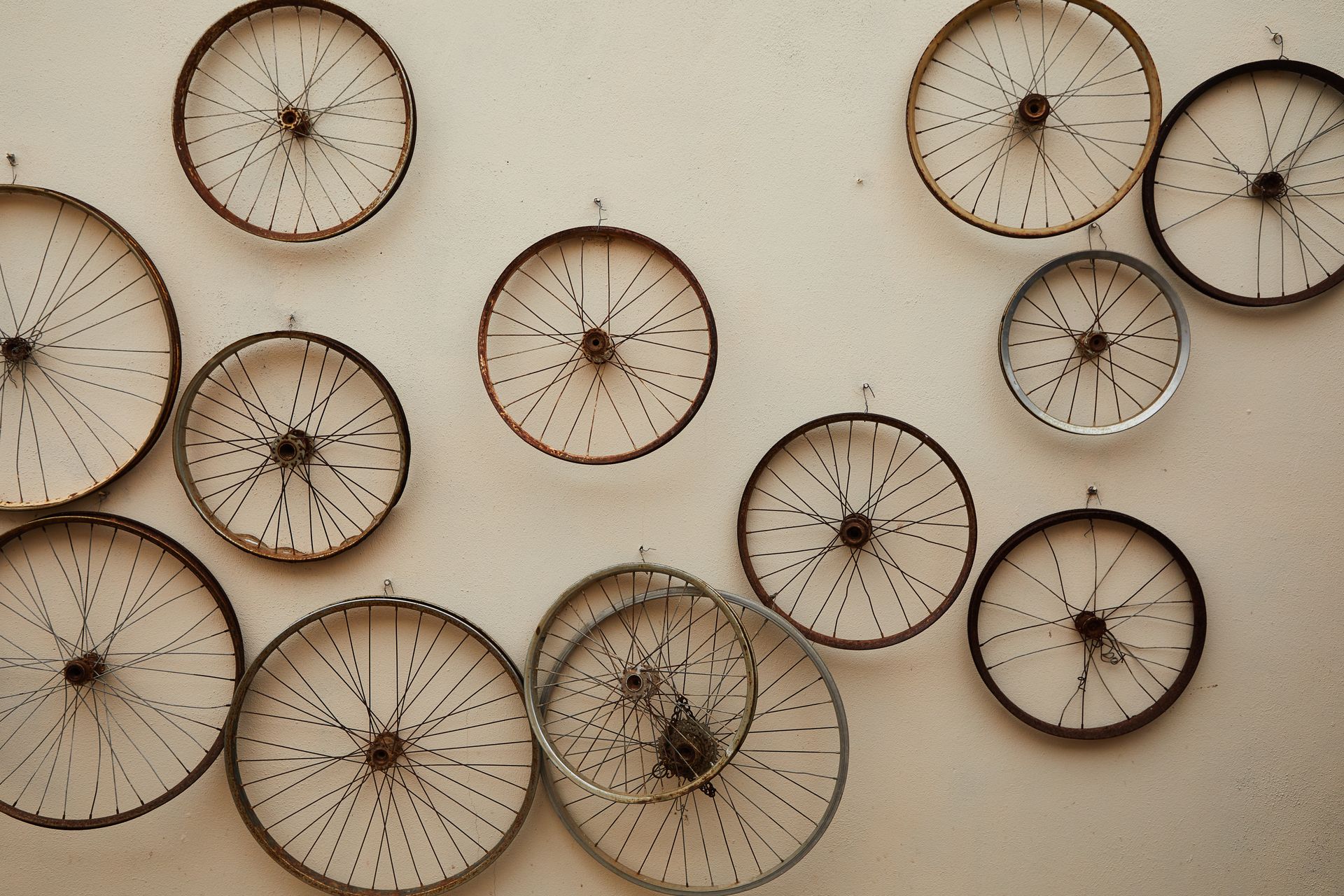 Different shapes and sizes spoke wheels hanging on light wall