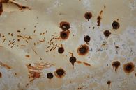 Old metal surface with discolored paint and different holes