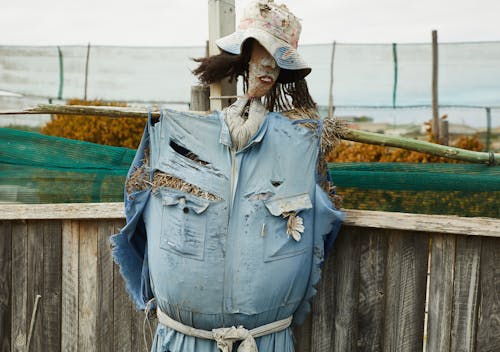 Handmade scarecrow made of straw in hat placed near wooden fence in kitchen garden in countryside