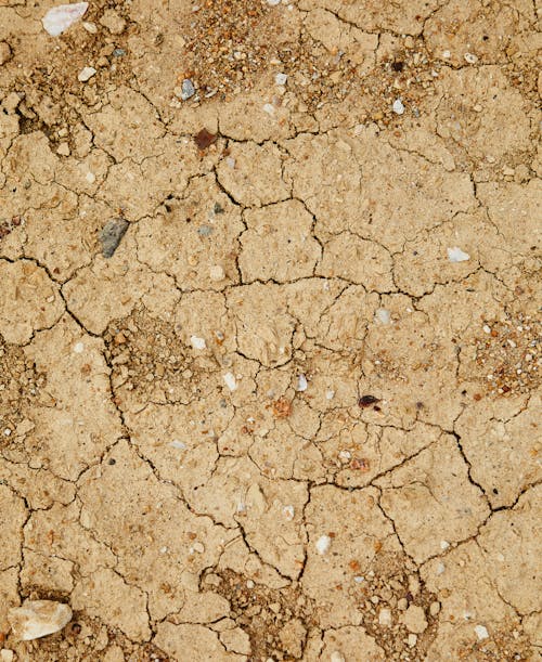 Plancher De Béton Brun Et Gris