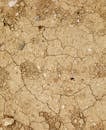 Top view abstract background of dry rough surface with cracks and small stones