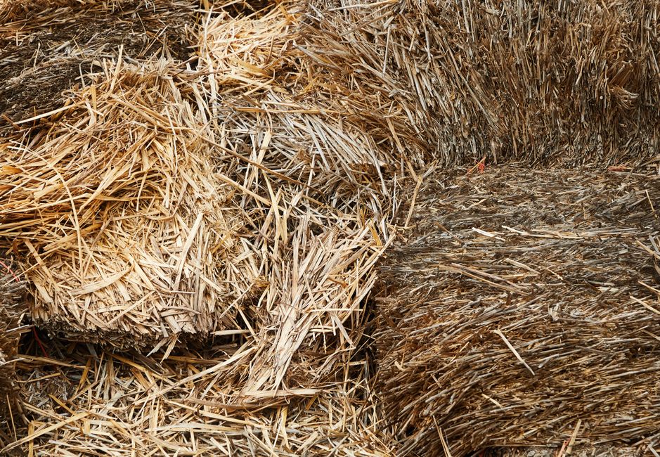 Piles of dry hay stacked together and placed in barn in farm in countryside