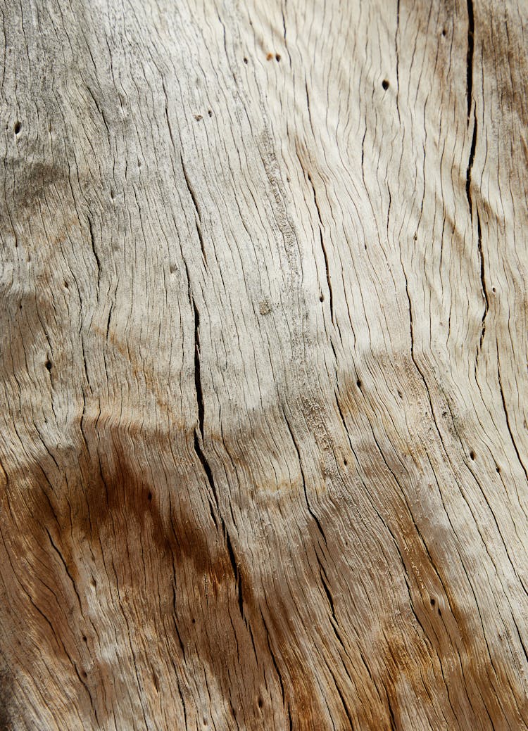 Textured Old Wood With Cracks And Tiny Holes