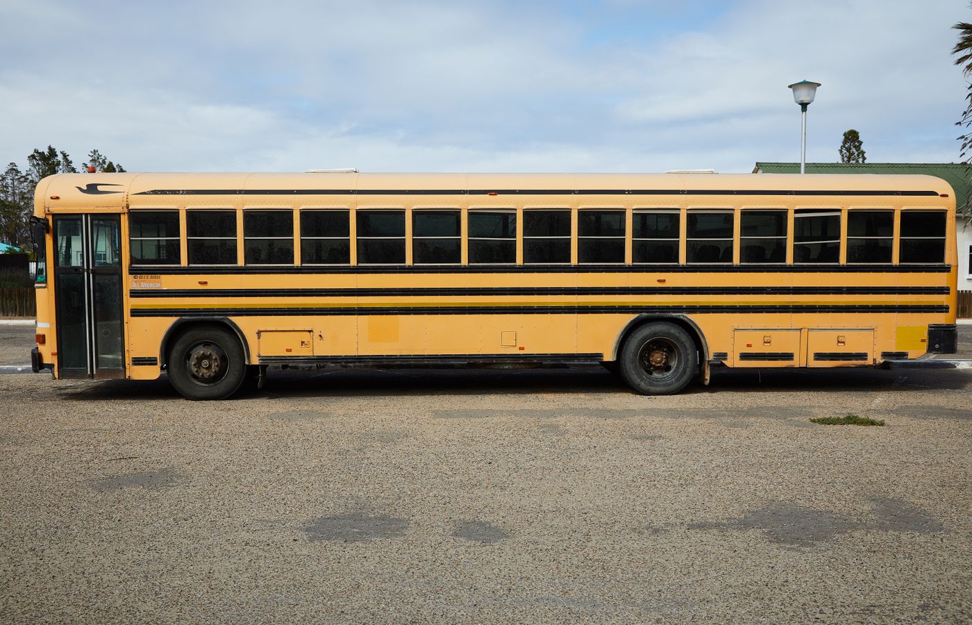Side view of a yellow school bus parked in an open area on a sunny day.