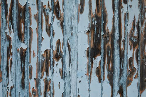 Timber wall of aged house with peeling white paint and damaged textured planks