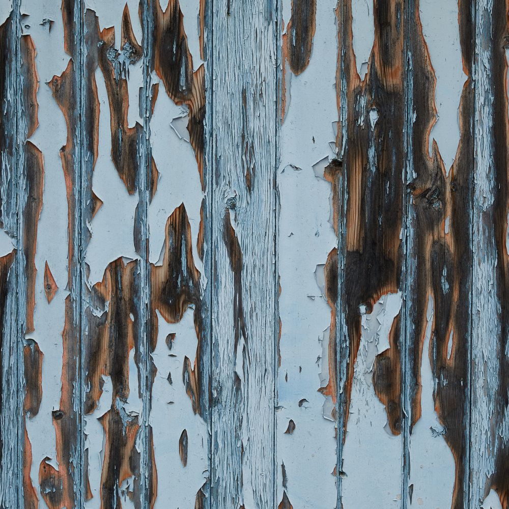 Fence and Decking Painting — the finished result after a professional repaint