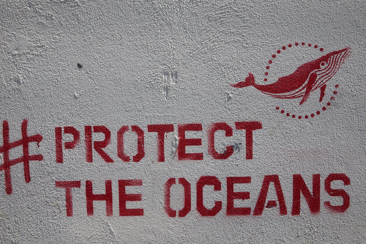 Graffiti with inscription Protect the oceans placed on concrete wall
